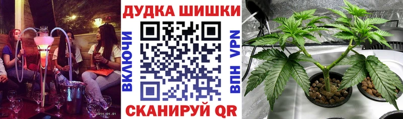 Шишки марихуана сатива  Сортавала 